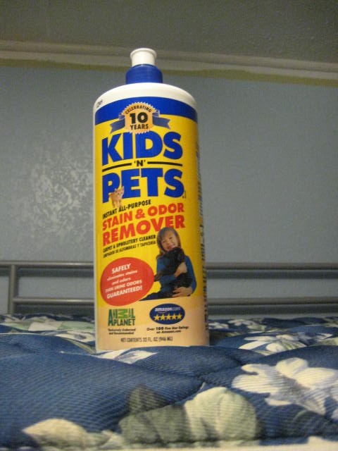 Kids n Pets Odor and Stain remover Review